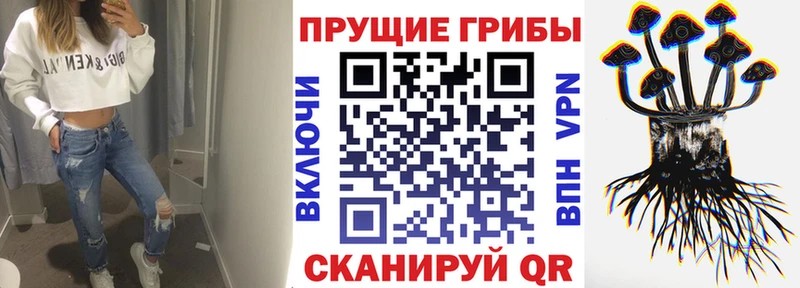 где купить наркоту  Богородск  Галлюциногенные грибы MAGIC MUSHROOMS 