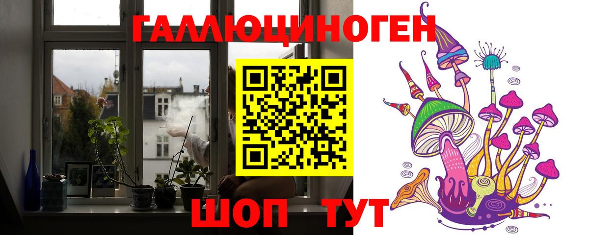Псилоцибиновые грибы мицелий  купить  цена  Богородск  Вход с VPN 